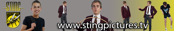 STING BANNER 2