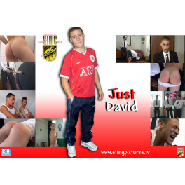 Just David