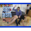 Sext Pests HD