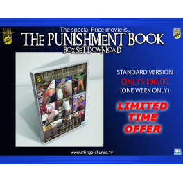 The Punishment Book Box Set