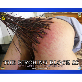 The Birching Block 22 HD