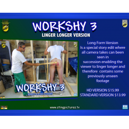 LLV Workshy 3